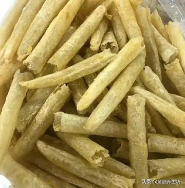 怀孕初期花胶煲什么好 怀孕中期花胶煲什么汤好