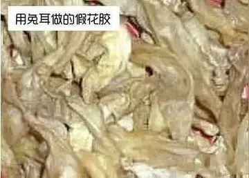 花胶炖牛奶如何凝固(怎样做花胶牛奶冻？)