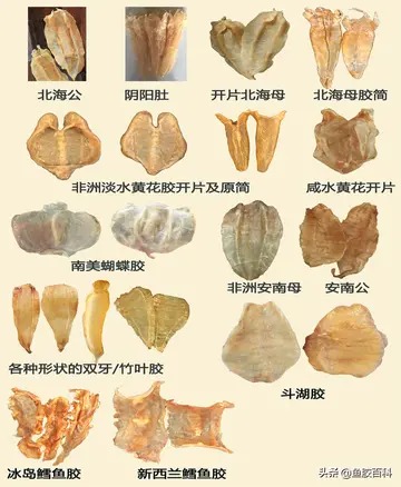 花胶石斛炖鸡汤的做法 石斛花胶煲鸡汤的做法