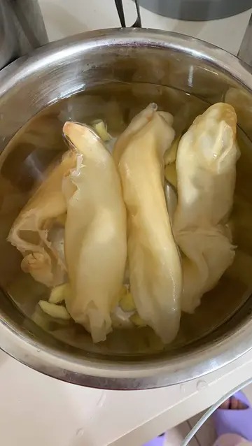 子宫切除后鱼胶可以吃吗(子宫肌瘤开腹手术后恢复中可以吃鱼胶吗？