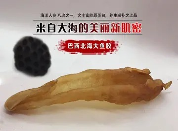 孕晚晚期可以吃花胶吗 刚怀孕1个月可以吃花胶