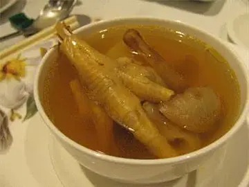 月经期间可以喝鸽子肉炖鱼胶吗(鸽子肉是什么味道的？)