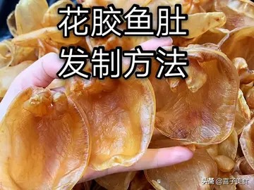 爆花胶煮法 海参煮法