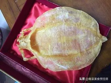 双背鳘鱼胶(鱼胶种类有几种？)