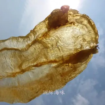 假的鱼胶煮出来图片(怎么辨别花胶真假？)