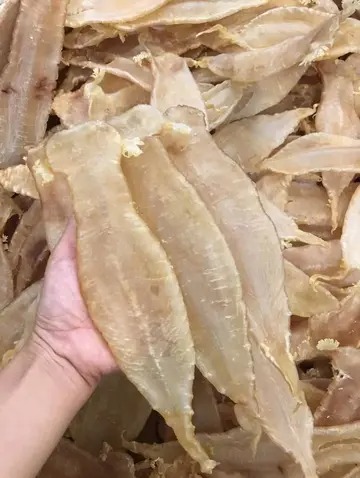 鲜鱼胶的做法窍门(新鲜鱼肚，怎么做才好吃？)