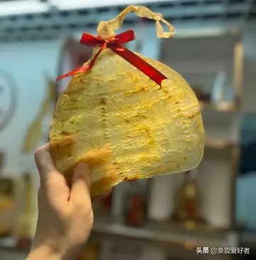 鱼胶泡后变白色是正品吗(怎么辨别花胶真假？)