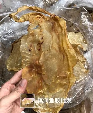 花胶炖什么汤好(花胶煲什么汤好喝？)