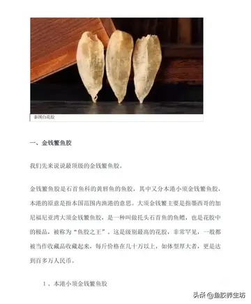 豆仁胶(哪个品种什么鱼胶最好？)