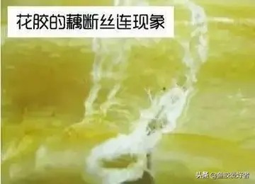 人流后不能吃花胶吗(女性流产后不可以吃哪些东西？)