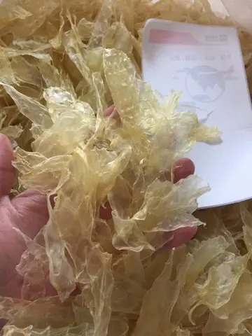 产后花胶炖鸽子 乳鸽炖花胶的做法大全