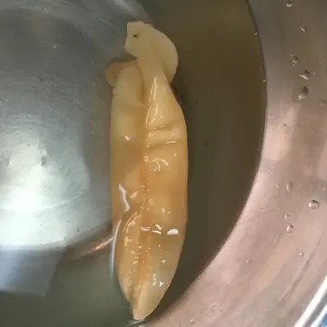 用鱼胶怎么做出藕的形状(油炸莲藕片是裹面粉还是淀粉？怎么做好吃？