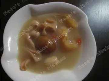 月经期间可以喝鸽子肉炖鱼胶吗(鸽子肉是什么味道的？)