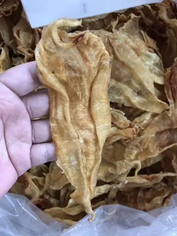 鱼胶晚饭后吃可以吗(鱼胶是什么味？)