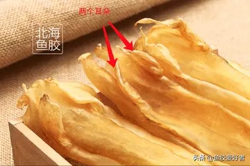 乳腺结节可以吃花胶吗(乳腺增生可以吃花胶吗？)