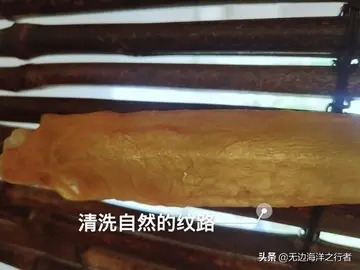 鱼胶炖什么可以化痰止咳(咳嗽能吃鱼胶吗？)