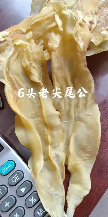 野生鳘鱼好还是黄花鱼胶好(哪个品种什么鱼胶最好？)