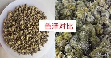 怎么看花胶好不好(怎么辨别花胶的好坏？)