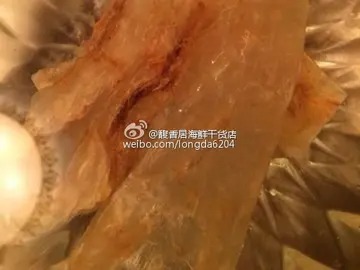 北海公肚鱼胶是什么鱼(鱼胶种类有几种？)