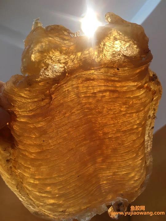 孕妇吃燕窝还是鱼胶好（孕妇吃花胶对胎儿子宫的好处详解）