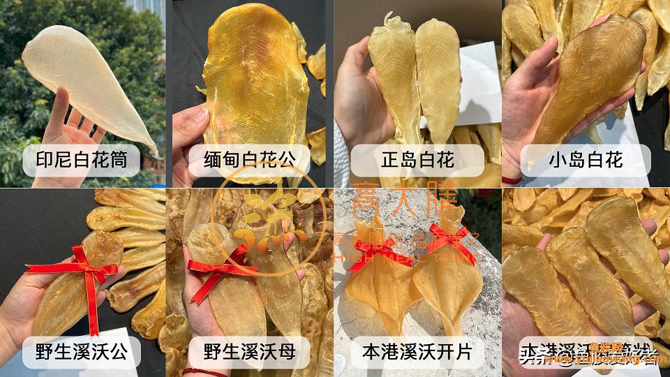 什么鱼胶好又便宜(女人适合吃的鱼胶品种排行榜)