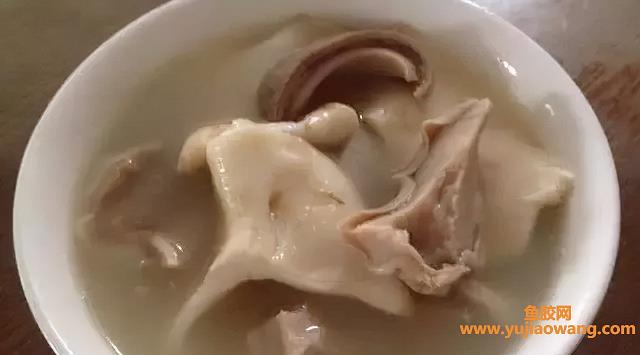 鱼胶怎么吃（鱼胶如何食用效果好）