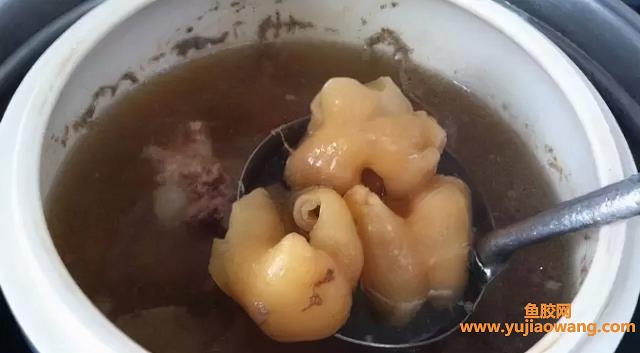 鱼胶怎么吃（鱼胶如何食用效果好）