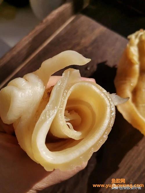 鱼胶怎么吃（鱼胶如何食用效果好）