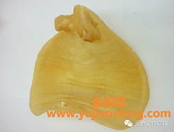 鱼胶的功效及种类(哪种鱼胶补血效果最好)