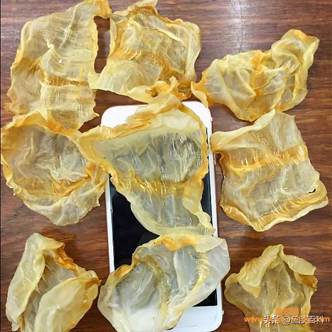 鱼胶可以放冷冻吗（干鱼胶怎么存放比较好）