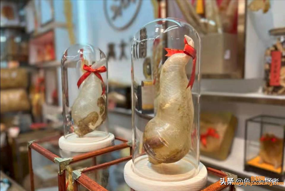 鱼胶可以放冷冻吗（干鱼胶怎么存放比较好）