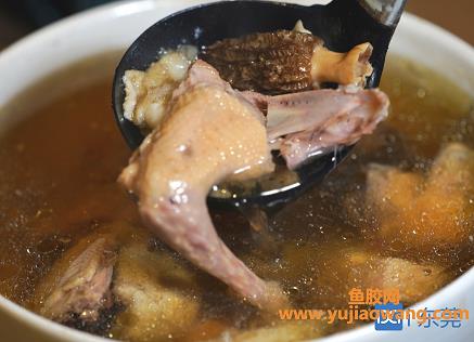 鸽子炖鱼胶有什么功效(花胶和什么煲汤最适合)