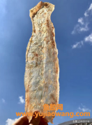 究竟什么是鳕鱼胶(鳕鱼胶的泡发及吃法)