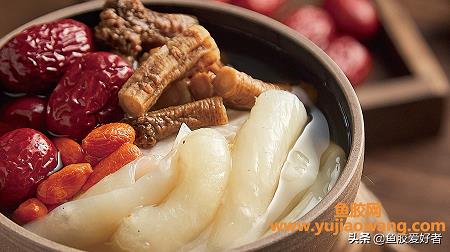 鱼胶牛肉可同吃好(吃花胶的正确方法)