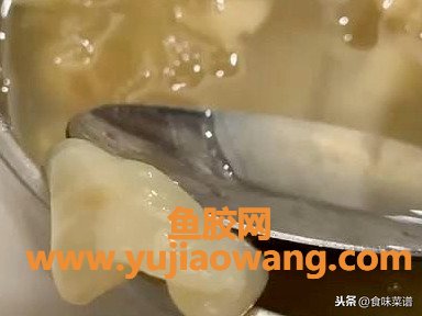 新鲜鱼胶有营养吗(新鲜鱼胶和干鱼胶功效一样吗)