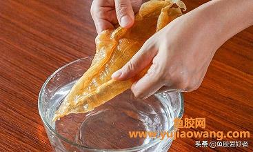 鱼胶炖花生可以吗（鱼胶炖花生功效和作用）