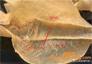 哪种鱼胶营养最好(十大鱼胶品种排行榜)