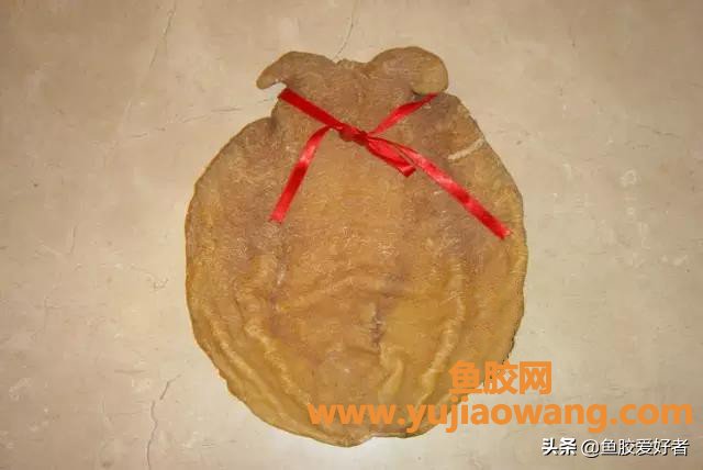 鱼胶 收藏 时间(干鱼胶怎么存放比较好)