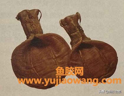 鱼胶 收藏 时间(干鱼胶怎么存放比较好)