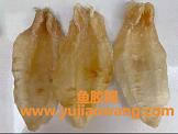 正常人怎么吃鱼胶(干花胶的正确食用方法)