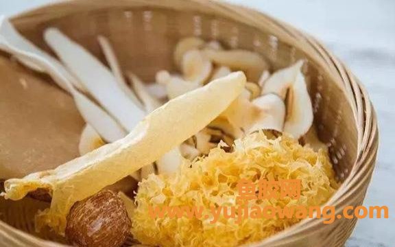 鱼胶和鱼鳔那个好(鱼鳔和鱼胶的区别)