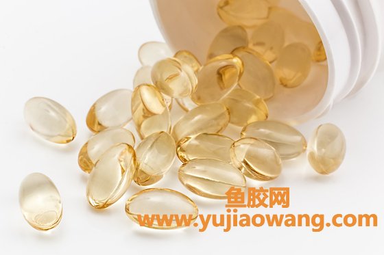 鱼胶和鱼鳔那个好(鱼鳔和鱼胶的区别)