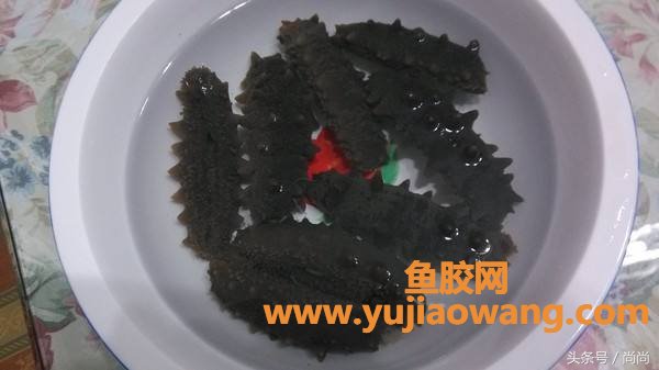 海参保存放鱼胶汁(海参花胶煲什么最好)
