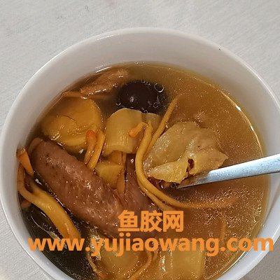 白鸽可以炖鱼胶吗(鱼胶鸽子汤怎么炖最营养)