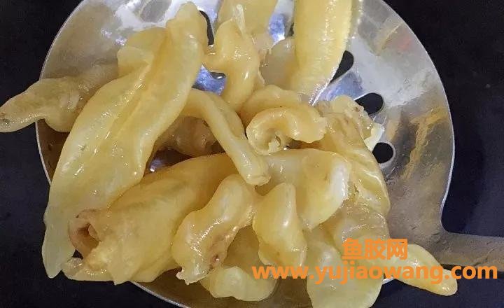 鱼胶炖骨头的做法(鱼胶怎么炖最好的怎样吃)