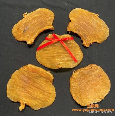 鳌鱼胶是是什么鱼(鳘鱼胶怎么炖最好的)