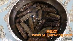 鱼胶海参做法大全(海参炖花胶功效和作用)