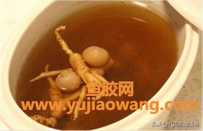 红参可以炖鱼胶吗(红参炖花胶什么时候吃最好)