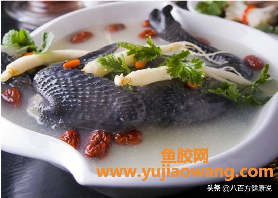 红参可以炖鱼胶吗(红参炖花胶什么时候吃最好)