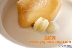 鱼胶美容做法大全(花胶的吃法与做法大全)
